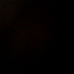 Meet your Posher, Max